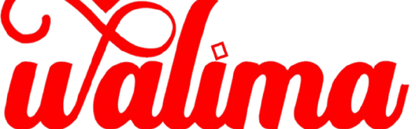 WALIMA GOSHT FOODS 